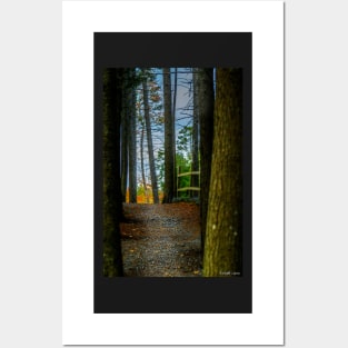 Hemlock Ravine Park Posters and Art